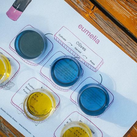 Hotel Eumelia Organic Agrotourism Farm Goúvai Zewnętrze zdjęcie