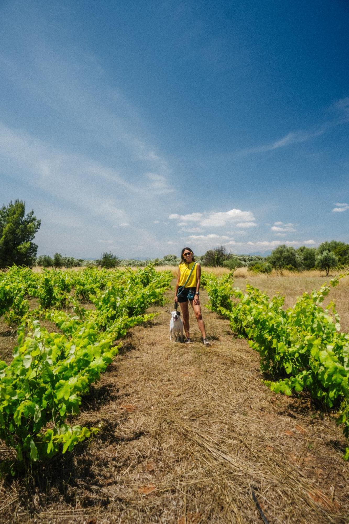 Hotel Eumelia Organic Agrotourism Farm Goúvai Zewnętrze zdjęcie
