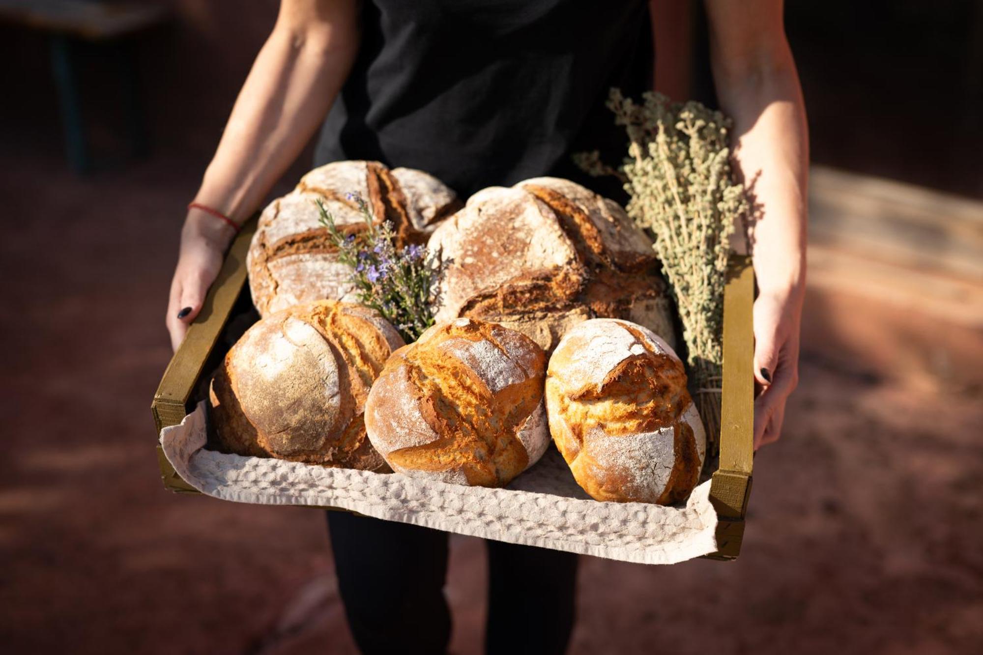 Hotel Eumelia Organic Agrotourism Farm Goúvai Zewnętrze zdjęcie